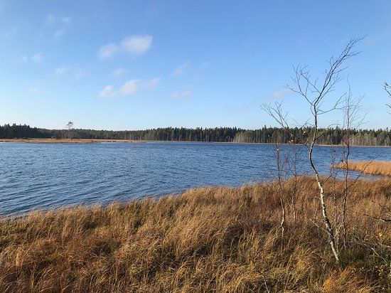 Grössjön Naturreservat